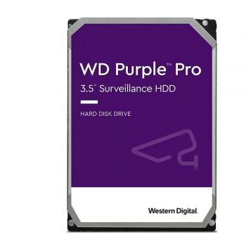 WESTERN PURPLE PRO WD101PURA-64B5KY0